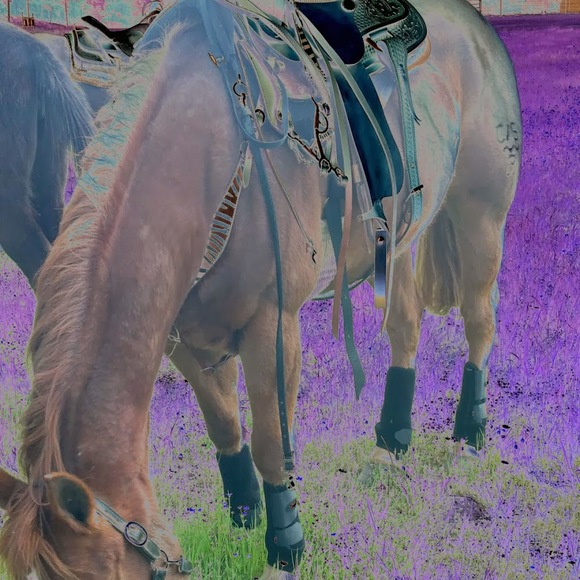 Meet your Posher, Julie - Picture 1 of 1